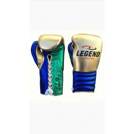 Legend Boxing Glove Pro